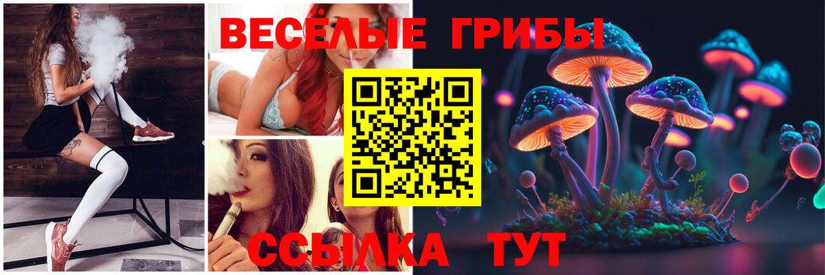 Галлюциногенные грибы мухоморы  Псилоцибиновые грибы Psilocybine cubensis  Краснодар  Вход с VPN 