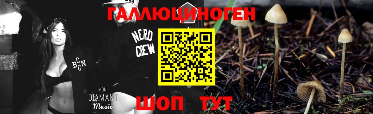 Галлюциногенные грибы GOLDEN TEACHER Краснодар