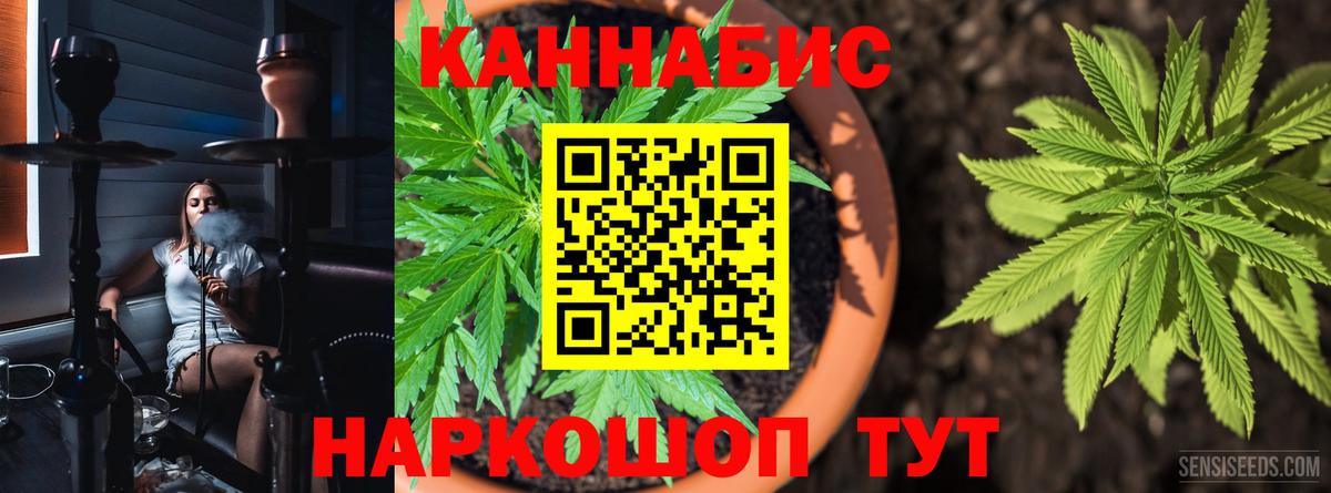 Шишки марихуана Amnesia Краснодар